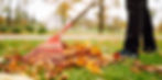 seasonal-clean-up-1.jpg