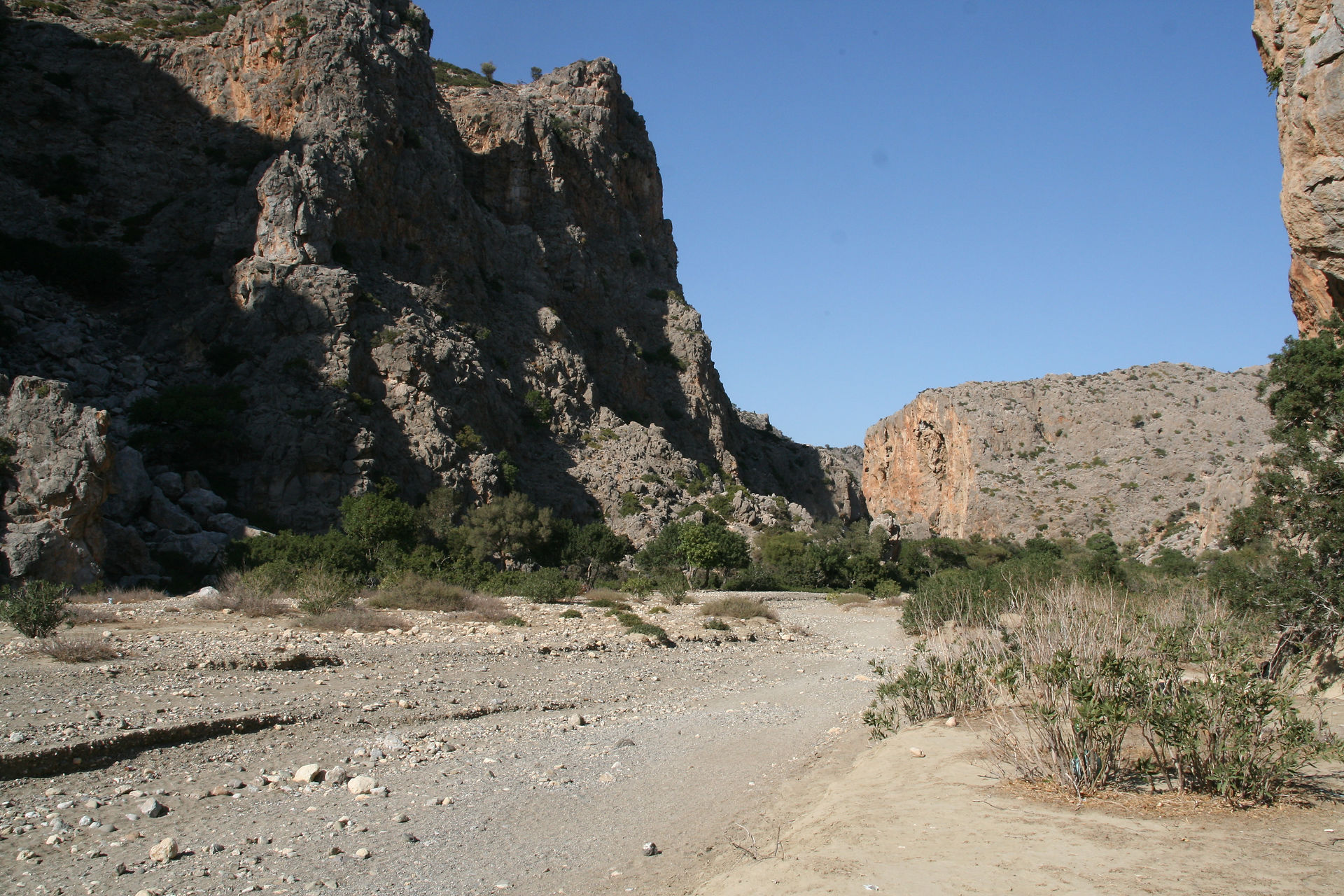 2008-10-25_13-00-26_0204