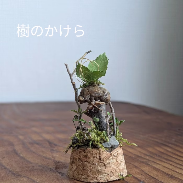 (きのかけら)
自然素材や粘土を使い、スチームパンクモチーフの錆びれた街などのオブジェ作品を制作しています。