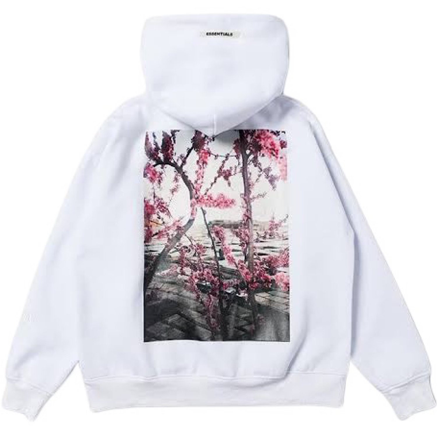 ESSENTIALS BACK PHOTO FLORAL HOODIE - WHITE
