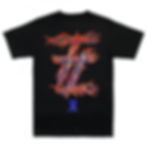 縮圖：TZ BUSHIDO TEE