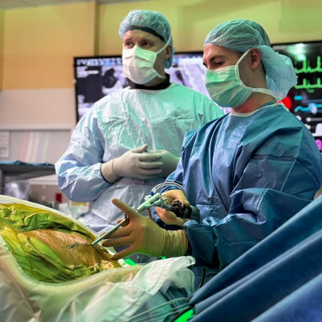 Advanced Spinal Endoscopy Techniques: A Surgeon's Guide