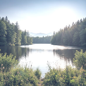 Landscape image of lake surrounded by trees daytime.jpg
