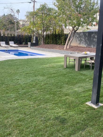 Los Angeles fiberglass pool backyard