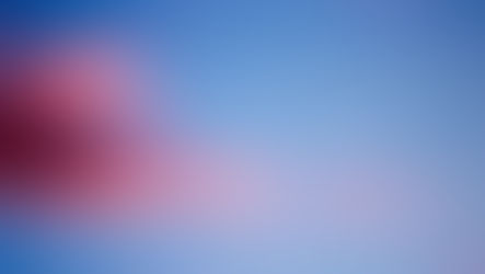 Harnessing the Energy of the Black New Moon in Capricorn