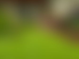 Transform Your Outside Area with Specialist Landscaping Solutions