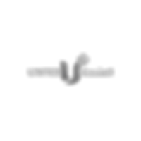 Atex White Logo-01.png