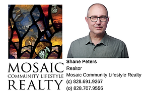 Mosaic Shane Logo Long.png