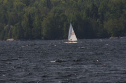 IMGP2418