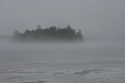 DSC_1972