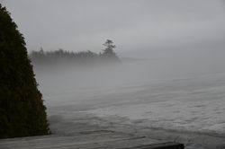 DSC_2054