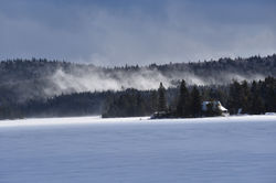 DSC_6921