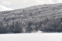 DSC_6683