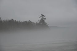DSC_2068