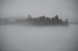 DSC_2114