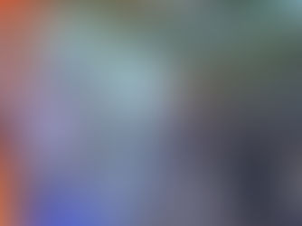 Nueva estrategia de inversión SL