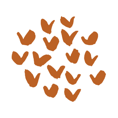 Graphics for website use (23).png