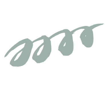 Graphics for website use (6).png