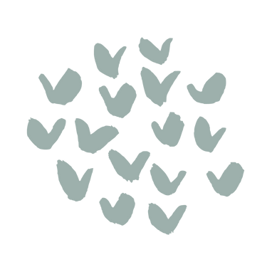 Graphics for website use (25).png