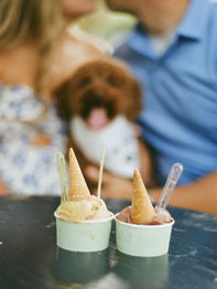 Couple and their puppy Photographed by Allie Miller Photography Destination Team from North Carolina in Southport, NC