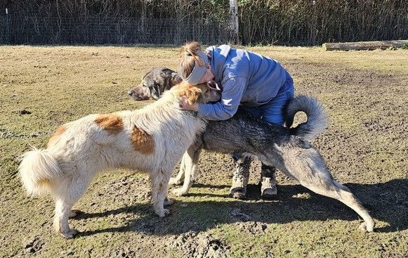 Dog Assisted Therapy: Natural Healing Through Canine Companionship