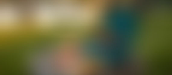 Campingkocher mit Pfanne und leckeren Zutaten an einem malerischen Seeufer