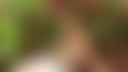 The Sanctuary Within: 5 Ayurvedic Rituals for Reclaiming Your Body