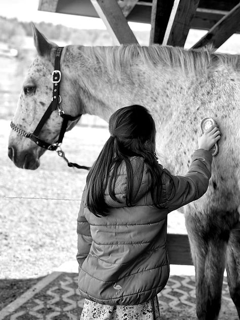 Kind striegelt ein weisses Pferd am Hals auf der Equitable Ranch