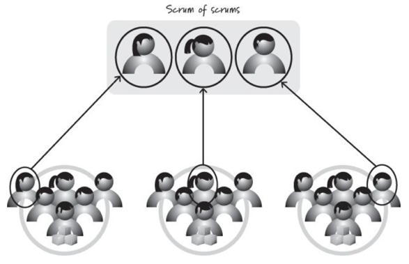 Scrum of Scrums