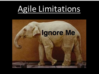 The Elephants in the Agile Room