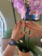 Gel con blooming