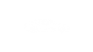 Auto Aufbereitung