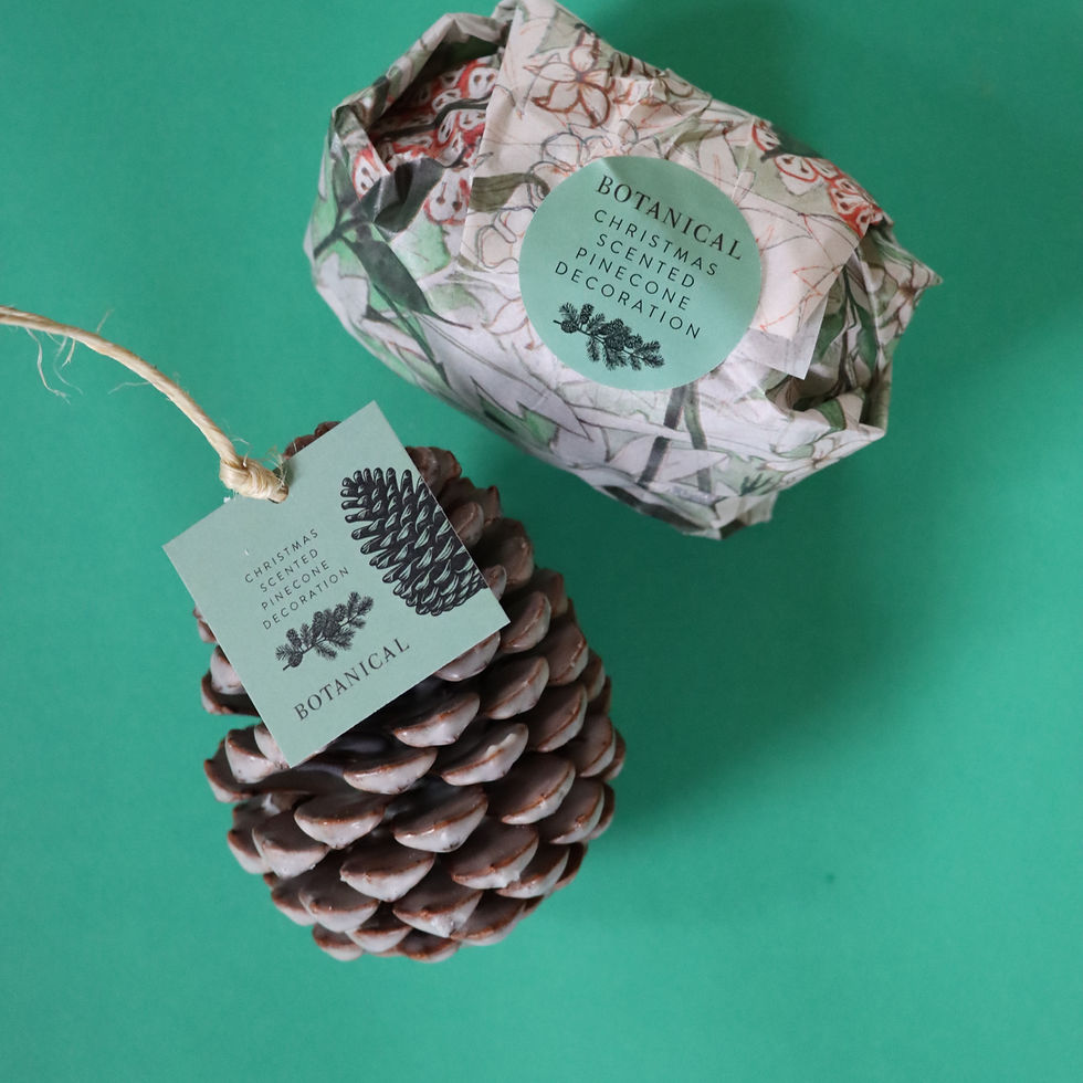 Christmas Scented Pinecone Decoration