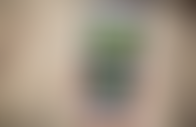 Covid-19 : comment se lancer dans l'e-commerce?