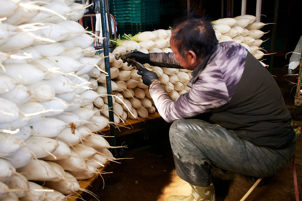 髭の部分を、高圧洗浄機で念入りに洗う様子。