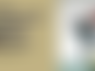 The Professional Migrant’s Career Blueprint: Does your language match your ambitions?