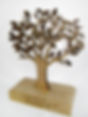TROFÉU MDF 01