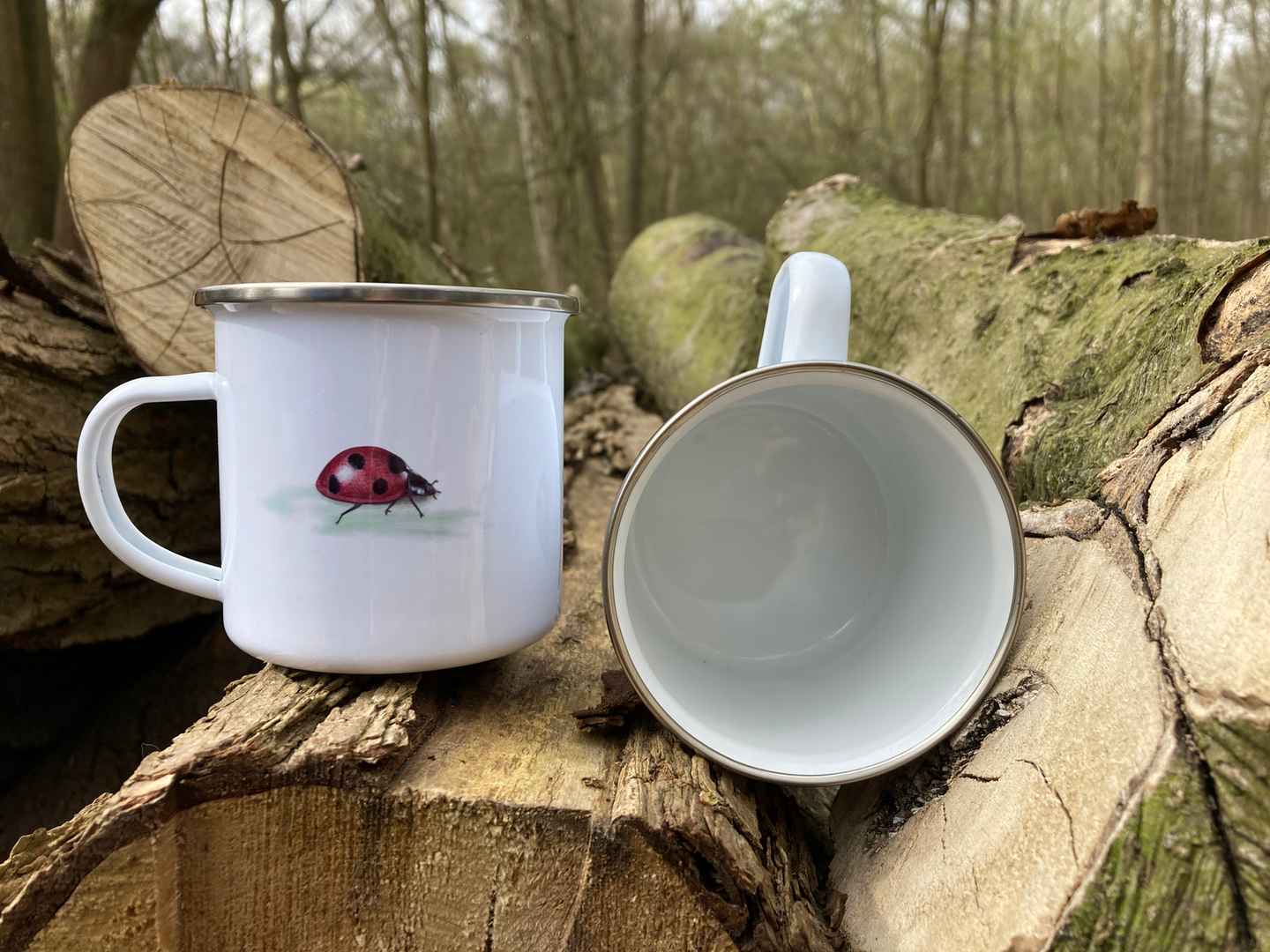 Two enamel camping mugs displayed outdoors on some logs. The white camping mugs have a small ladybird illustration on them.
