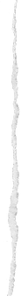 rip04.png