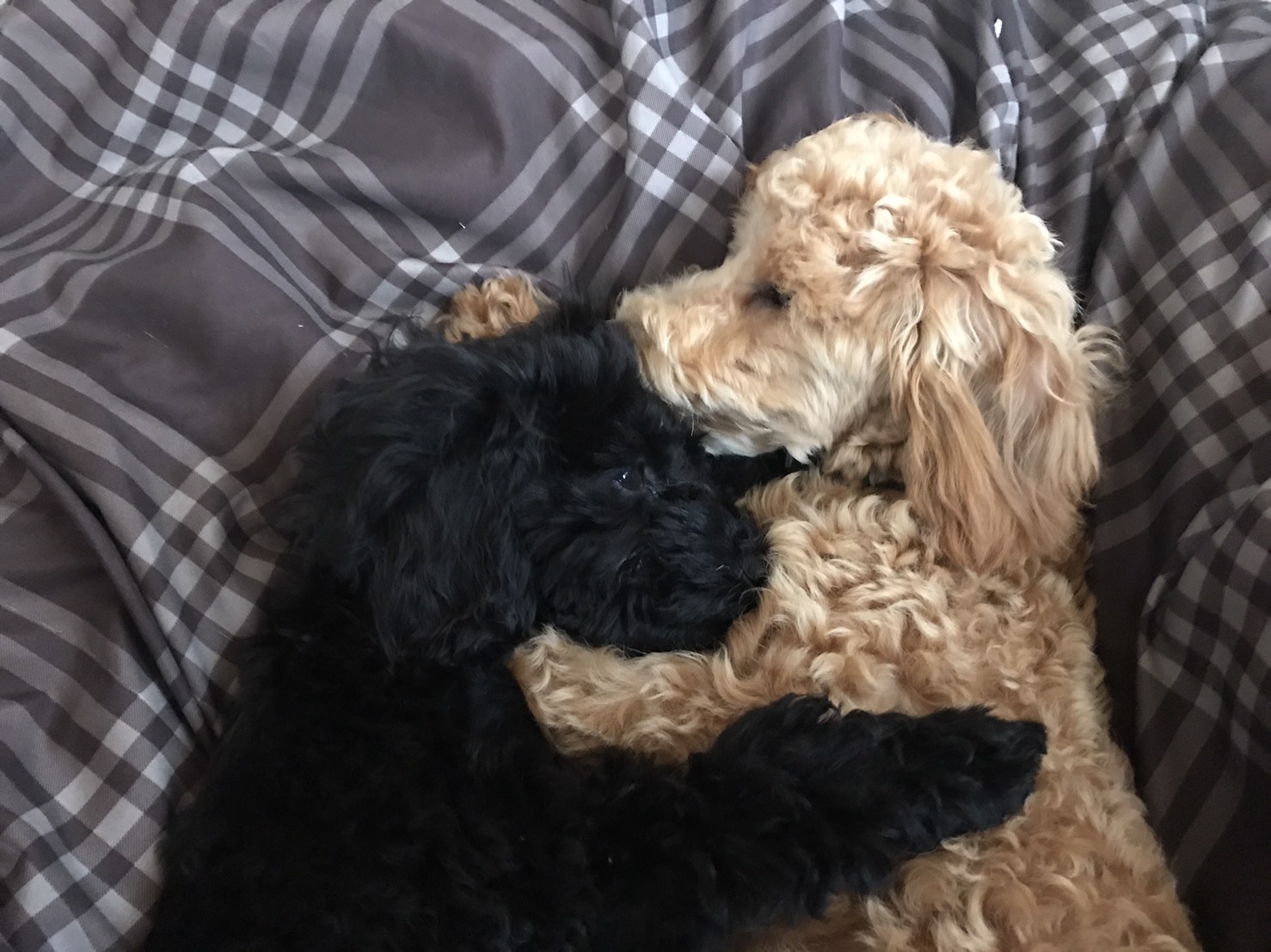 執筆者の写真: 理恵 木谷