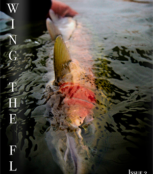 New Magazine Software....new features!