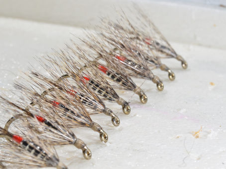 Throwback Thursday: Coq Pardo