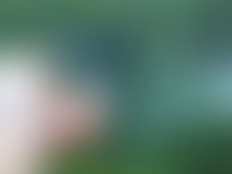 A Handful of Flies from the Kola Peninsula: Part 7