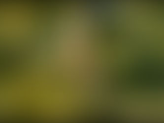 Photo of the Week: Bass Time