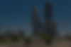 realtor in mississauga.jpg