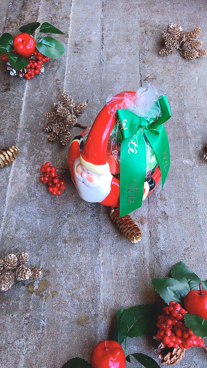 CESTA NOEL