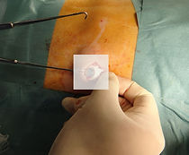 執筆 写真 ITport 200730_edited.jpg