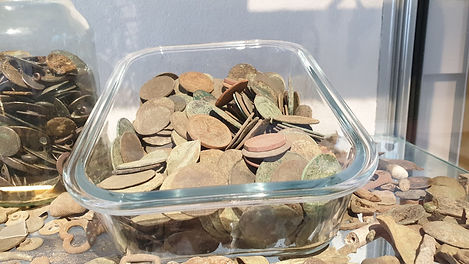 Fig 12 - Toasted Coins.jpg