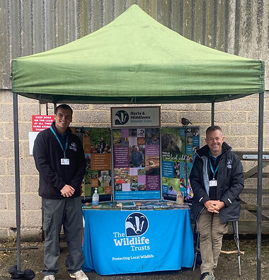 the wildlife trusts.jpg
