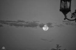 Luna de Octubre